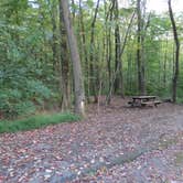 Review photo of French Creek State Park Campground by Ellen C., October 5, 2019