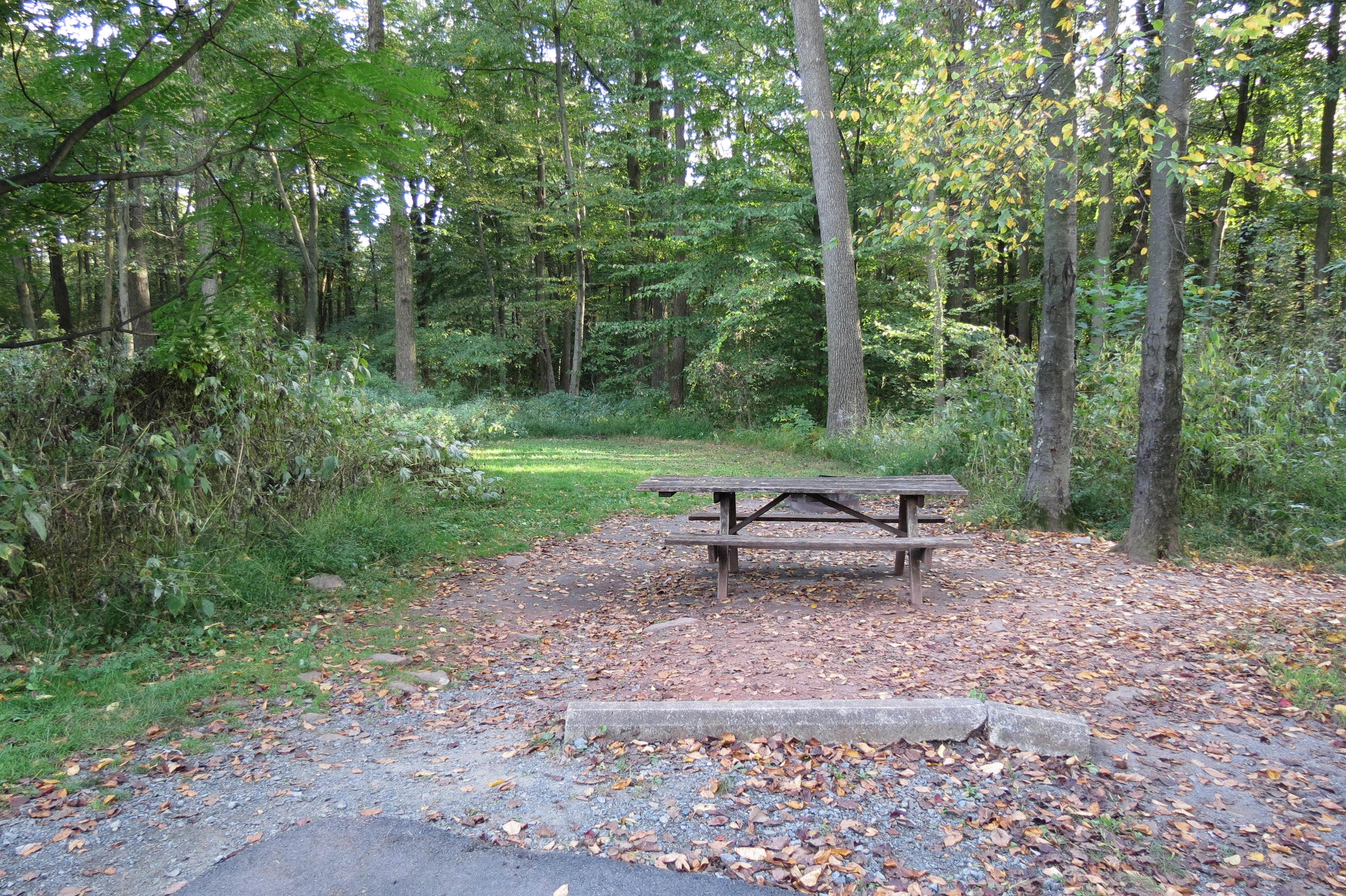 French Creek State Park Campground