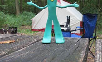 Ellen C.'s photo at French Creek State Park Campground near Oley, PA