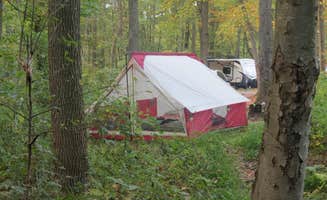 Ellen C.'s photo at French Creek State Park Campground near Frederick, PA