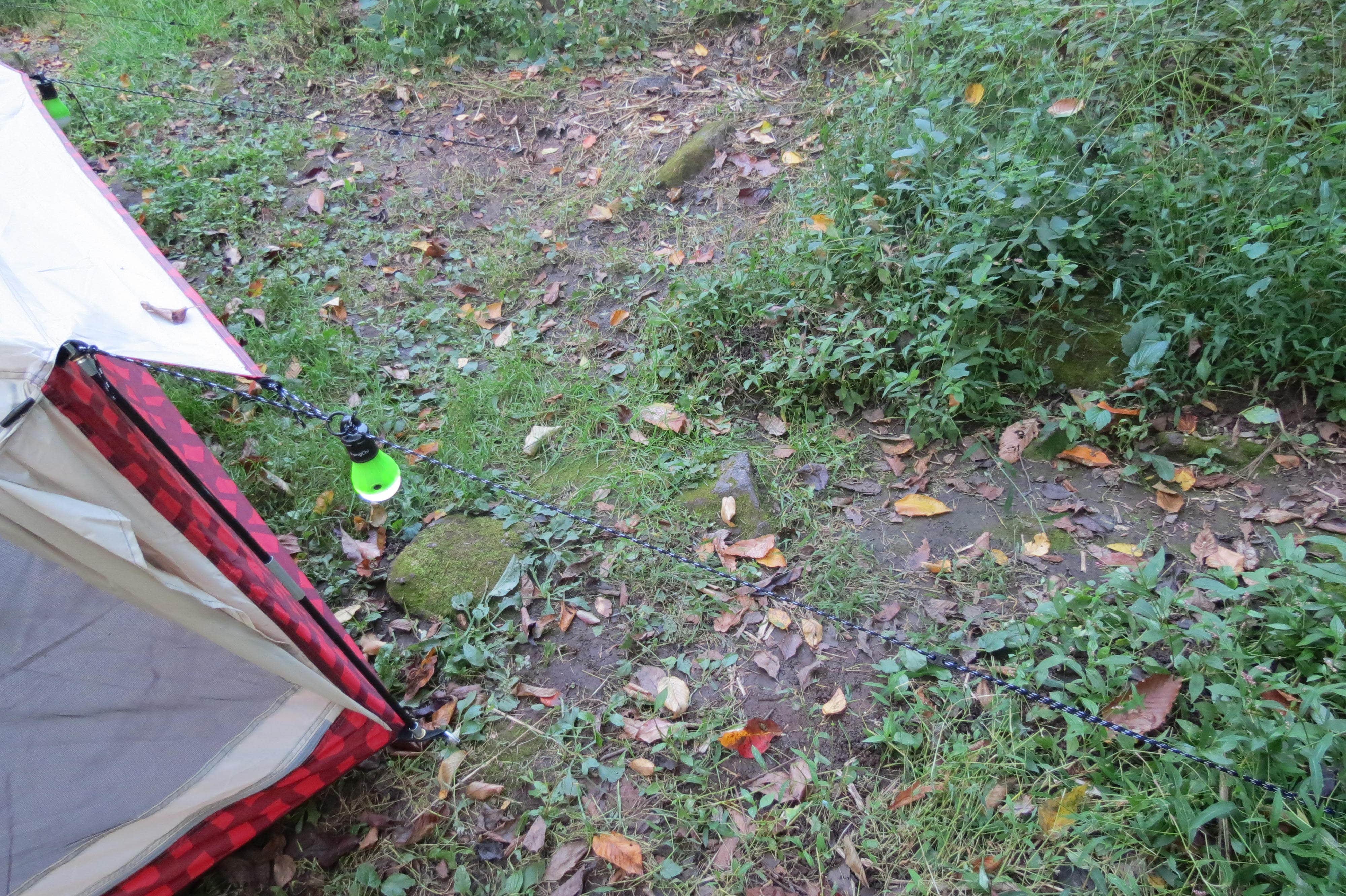 Ellen C.'s photo at French Creek State Park Campground near Concordville, PA