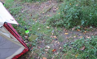 Ellen C.'s photo at French Creek State Park Campground near West Chester, PA