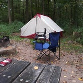 Review photo of French Creek State Park Campground by Ellen C., October 5, 2019