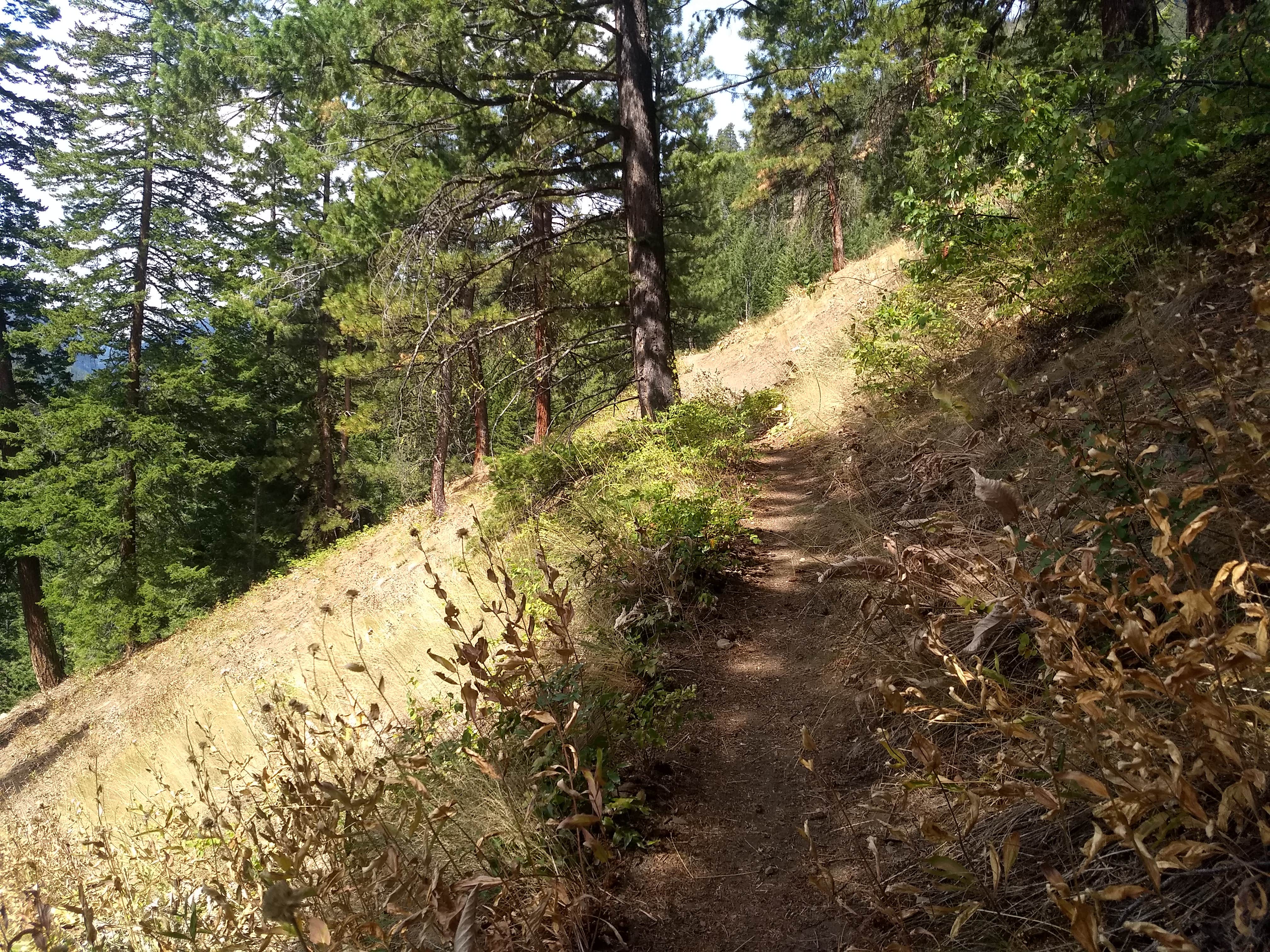 Camper-submitted photo at Klipchuck Campground near Stehekin, WA