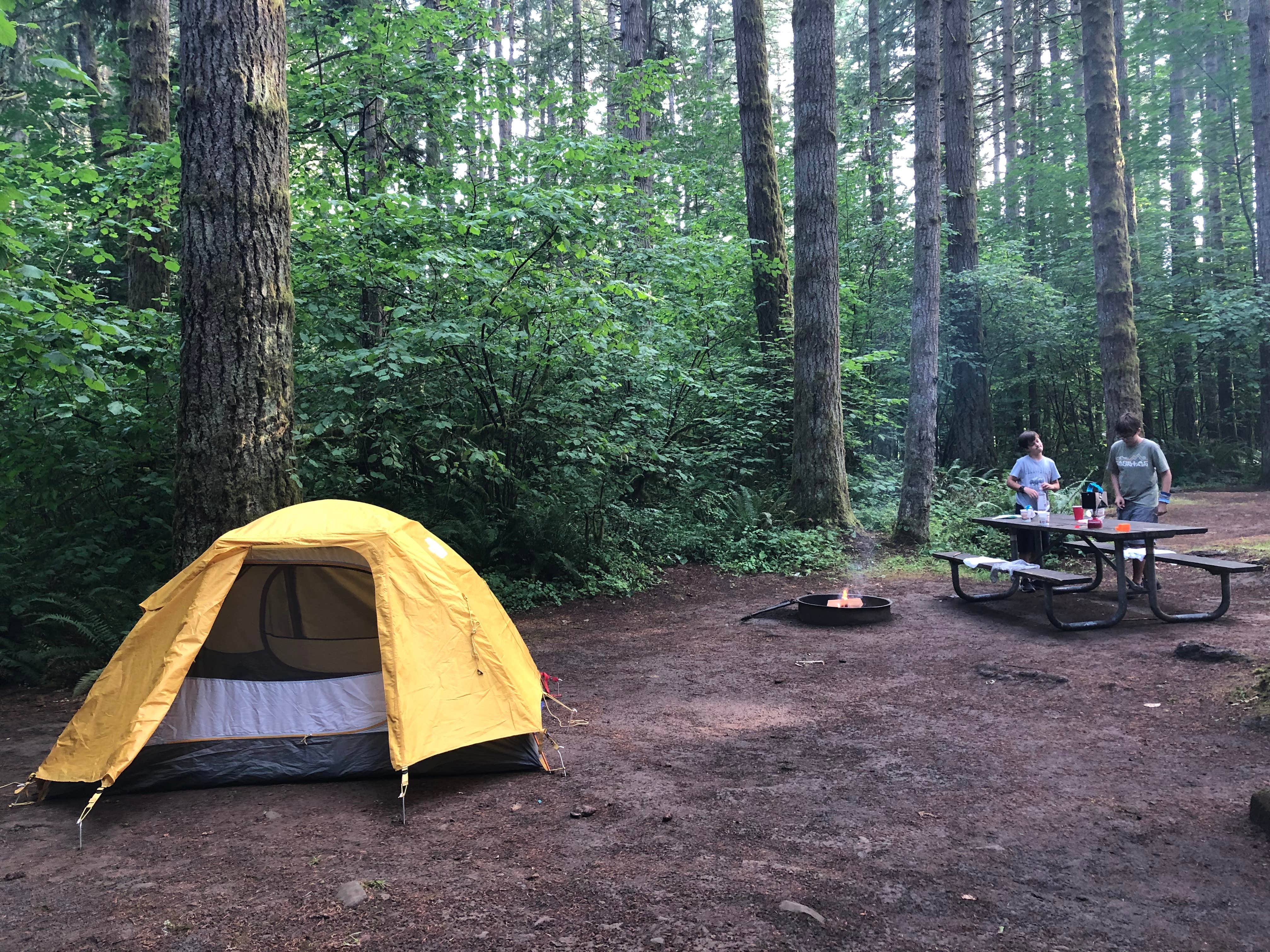 Suzanne S.'s photo at Seaquest State Park Campground near Castle Rock, WA