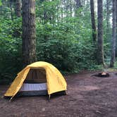 Review photo of Seaquest State Park Campground by Suzanne S., October 5, 2019