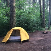 Review photo of Seaquest State Park Campground by Suzanne S., October 5, 2019