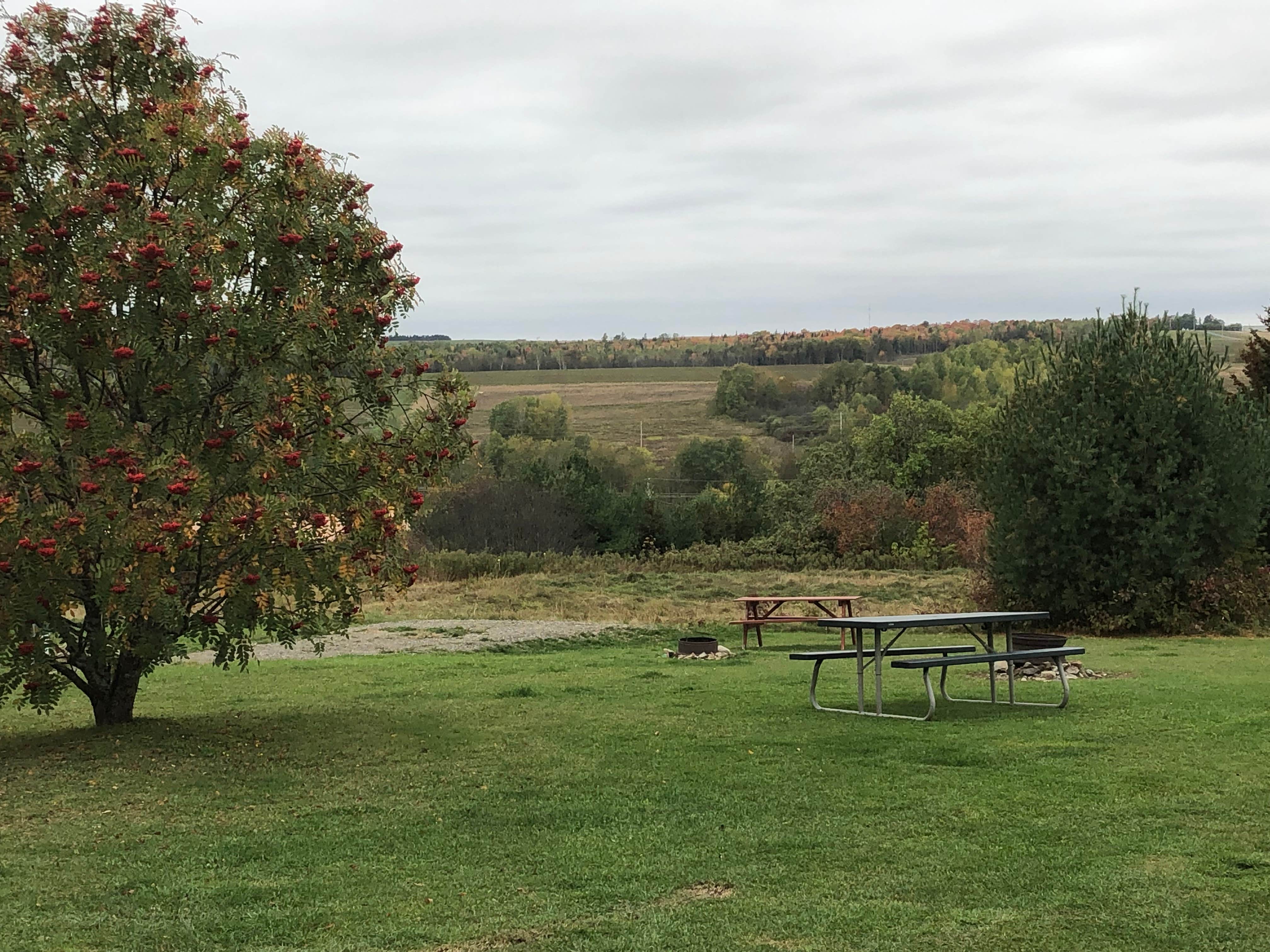 Camper submitted image from Arndt's Aroostook River Lodge & Campground - 3