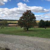 Review photo of Arndt's Aroostook River Lodge & Campground by Melissa J., October 6, 2019