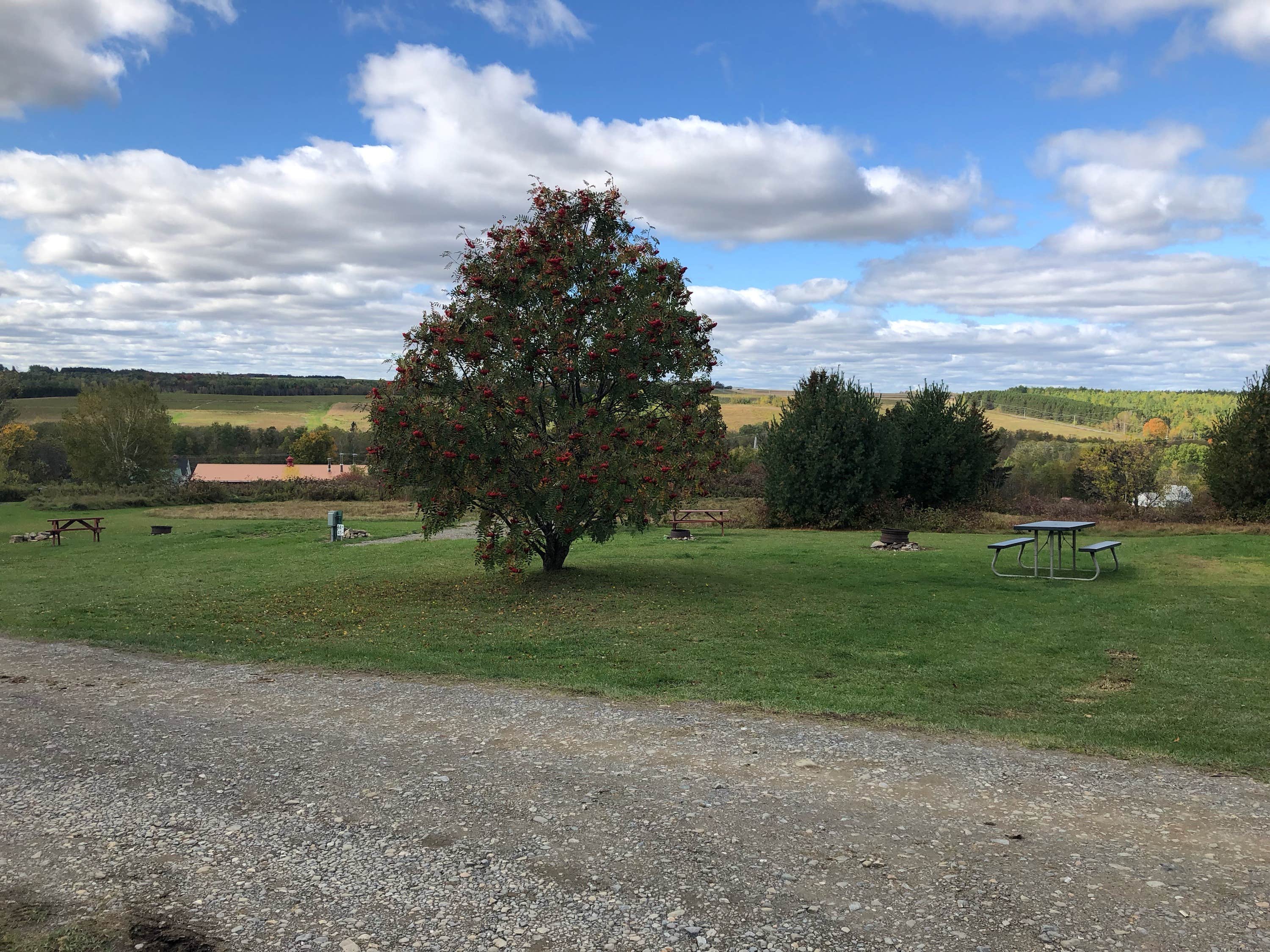 Camper submitted image from Arndt's Aroostook River Lodge & Campground - 5