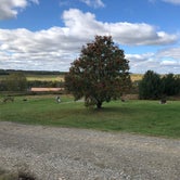 Review photo of Arndt's Aroostook River Lodge & Campground by Melissa J., October 6, 2019