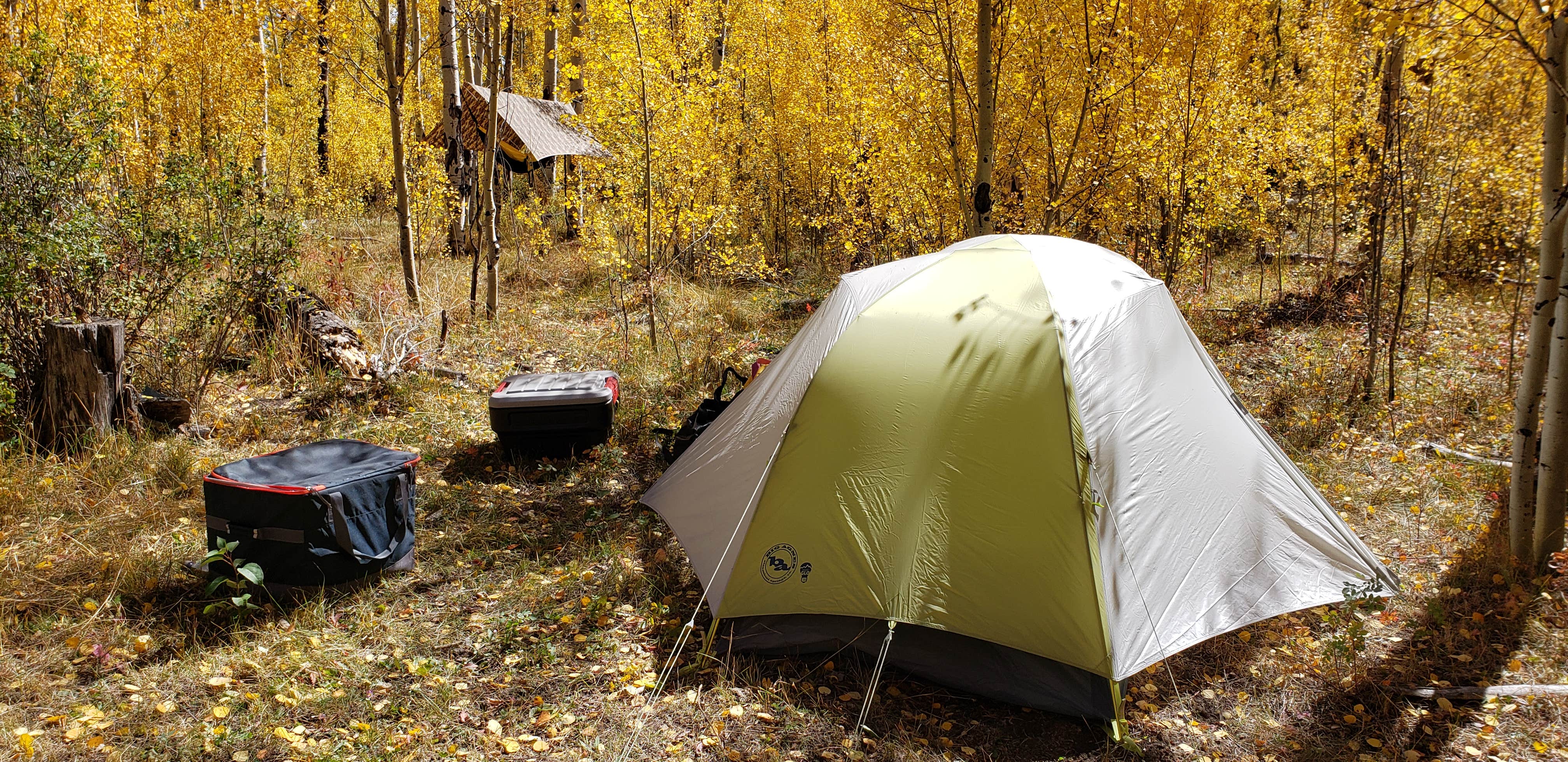 Thomas B.'s photo at Dispersed Grand County Rd 212, Medecine Bow-Routt National Forest near Bond, CO