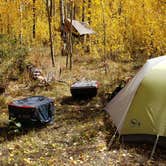 Review photo of Dispersed Grand County Rd 212, Medecine Bow-Routt National Forest by Thomas B., October 6, 2019