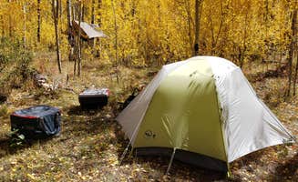 Thomas B.'s photo at Dispersed Grand County Rd 212, Medecine Bow-Routt National Forest near Bond, CO