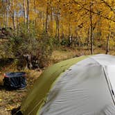 Review photo of Dispersed Grand County Rd 212, Medecine Bow-Routt National Forest by Thomas B., October 6, 2019