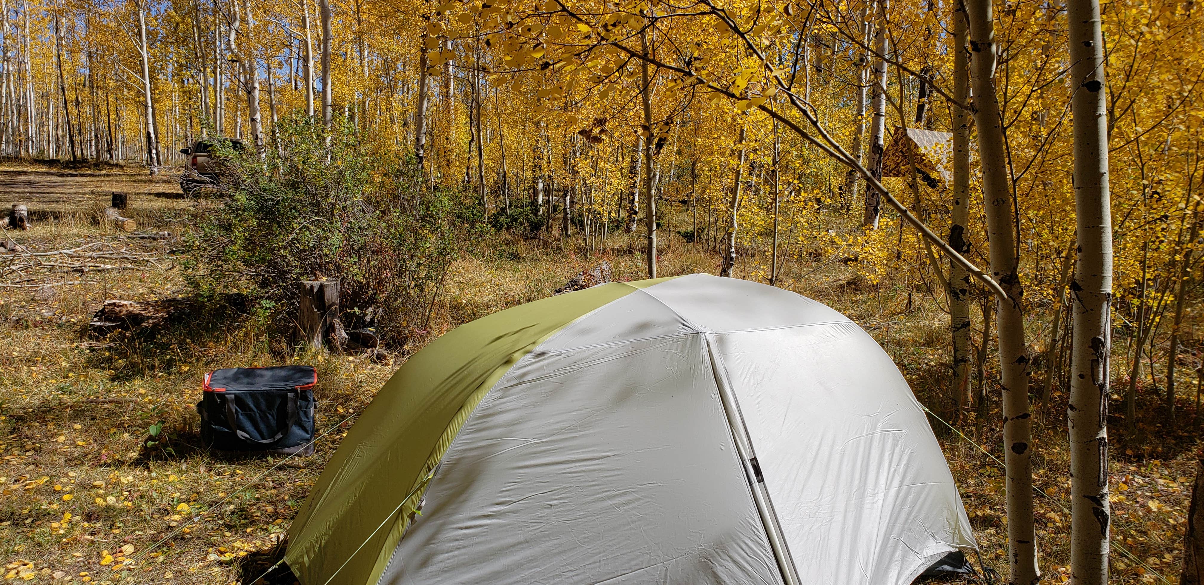 Camper submitted image from Dispersed Grand County Rd 212, Medecine Bow-Routt National Forest - 4