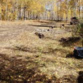 Review photo of Dispersed Grand County Rd 212, Medecine Bow-Routt National Forest by Thomas B., October 6, 2019