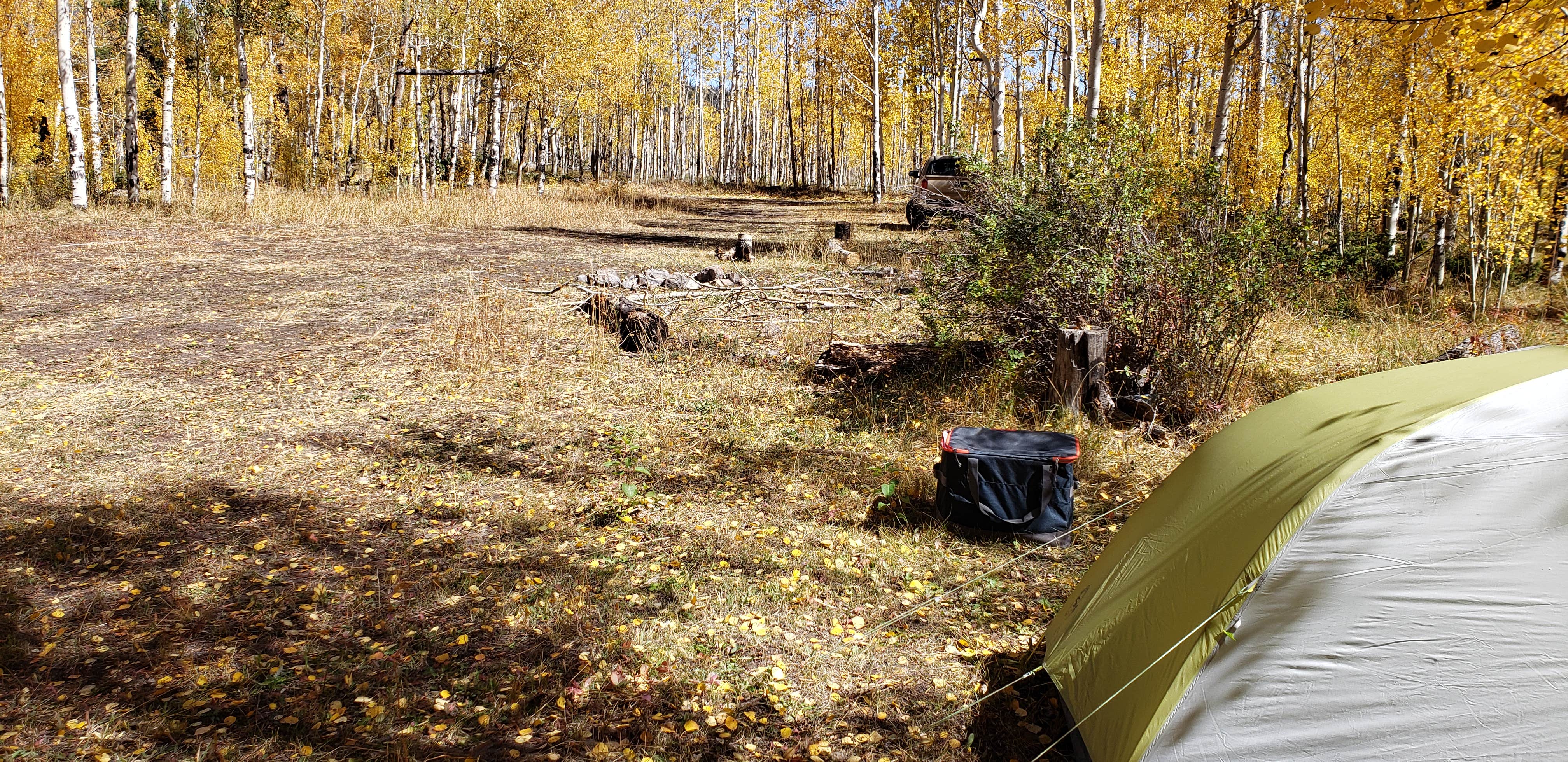 Camper submitted image from Dispersed Grand County Rd 212, Medecine Bow-Routt National Forest - 3