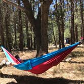 Review photo of San Gorgonio Campground by Raymond S., August 15, 2017