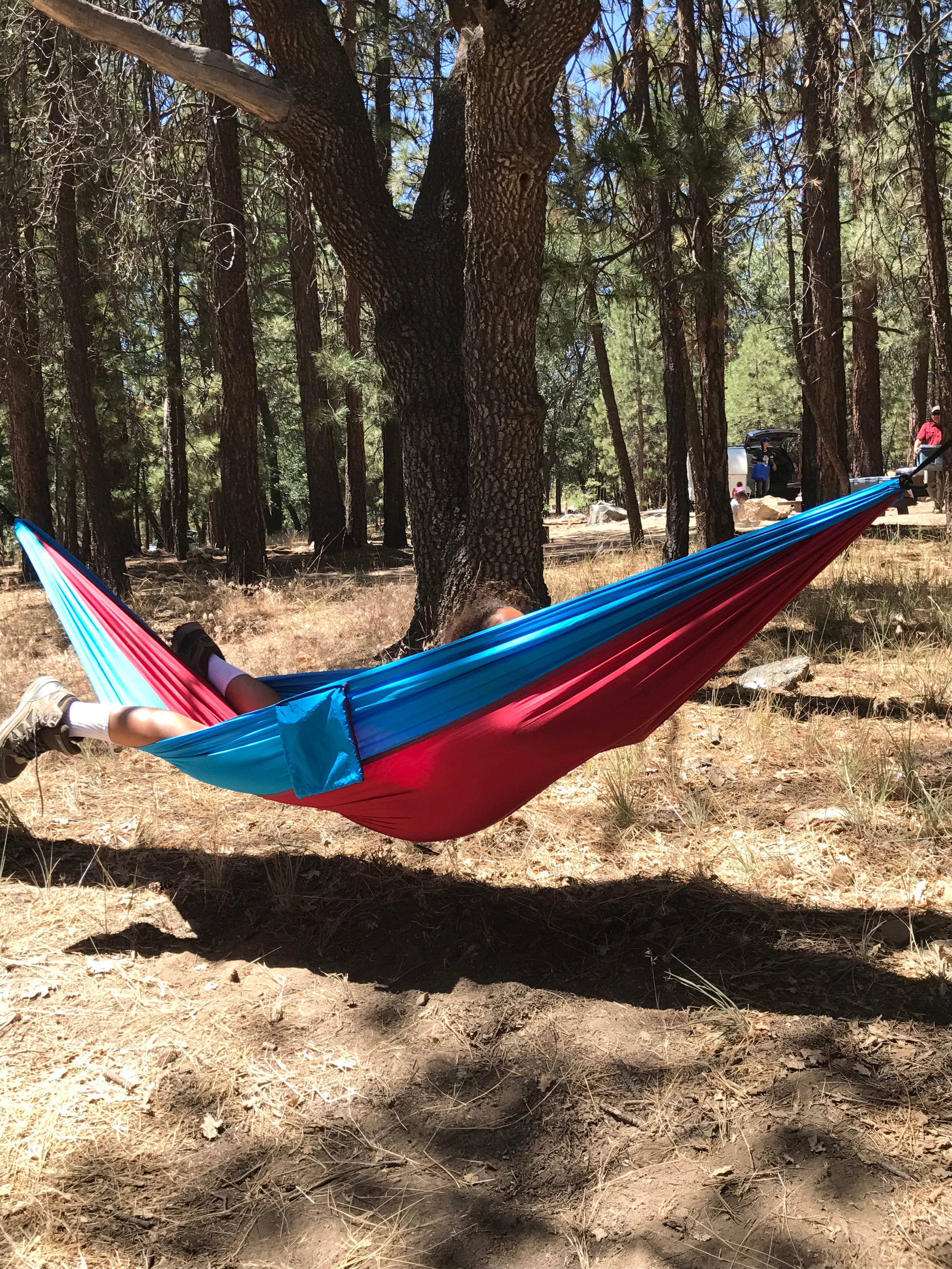 Camper submitted image from San Gorgonio Campground - 3