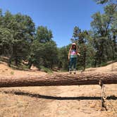 Review photo of San Gorgonio Campground by Raymond S., August 15, 2017