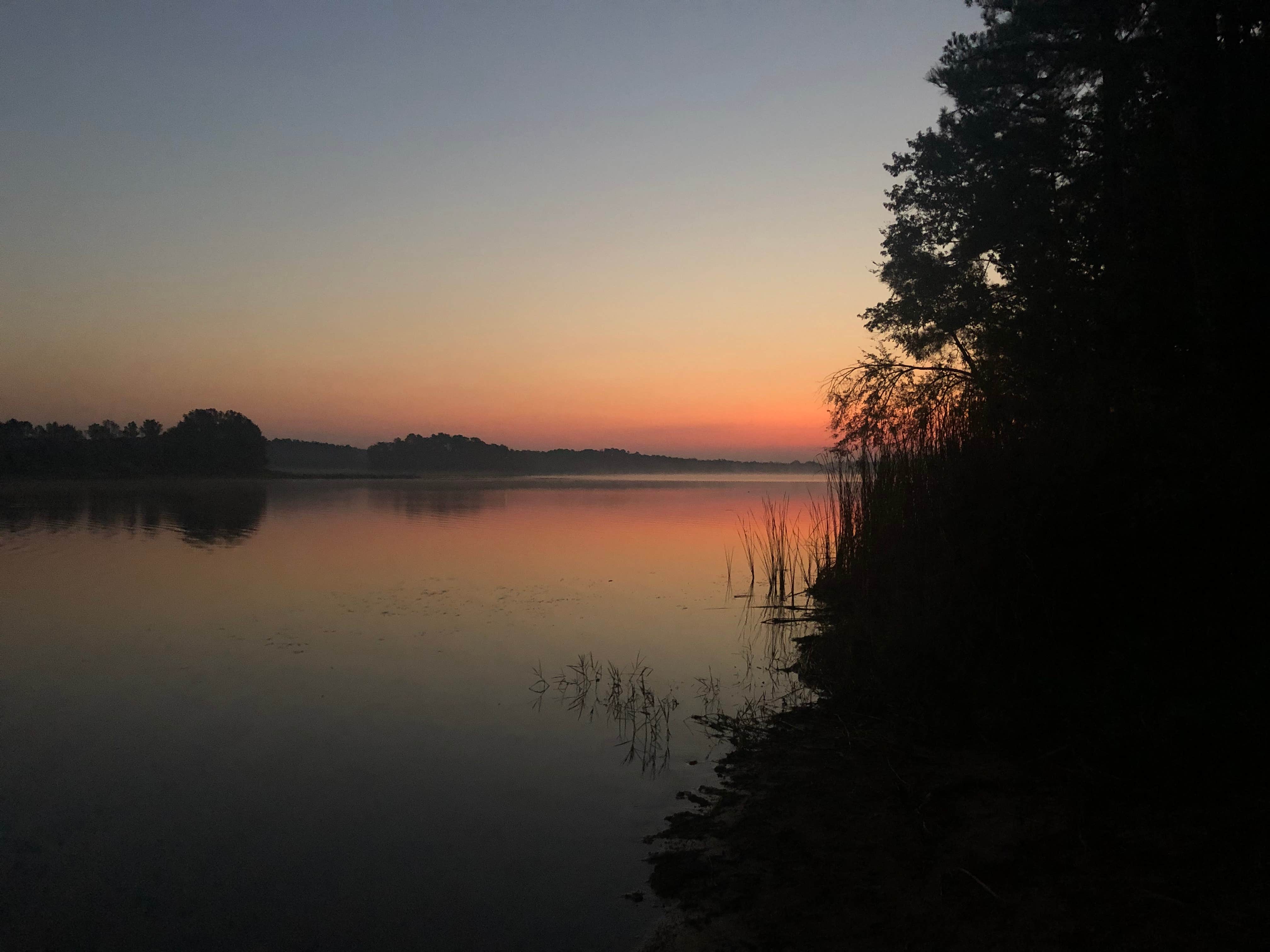 Camper submitted image from Martin Creek Lake State Park Campground - 3