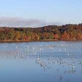 Review photo of Lake Barkley State Resort Park by J K., October 6, 2019