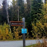 Review photo of Hidden Lake Campground by Shadara W., October 6, 2019