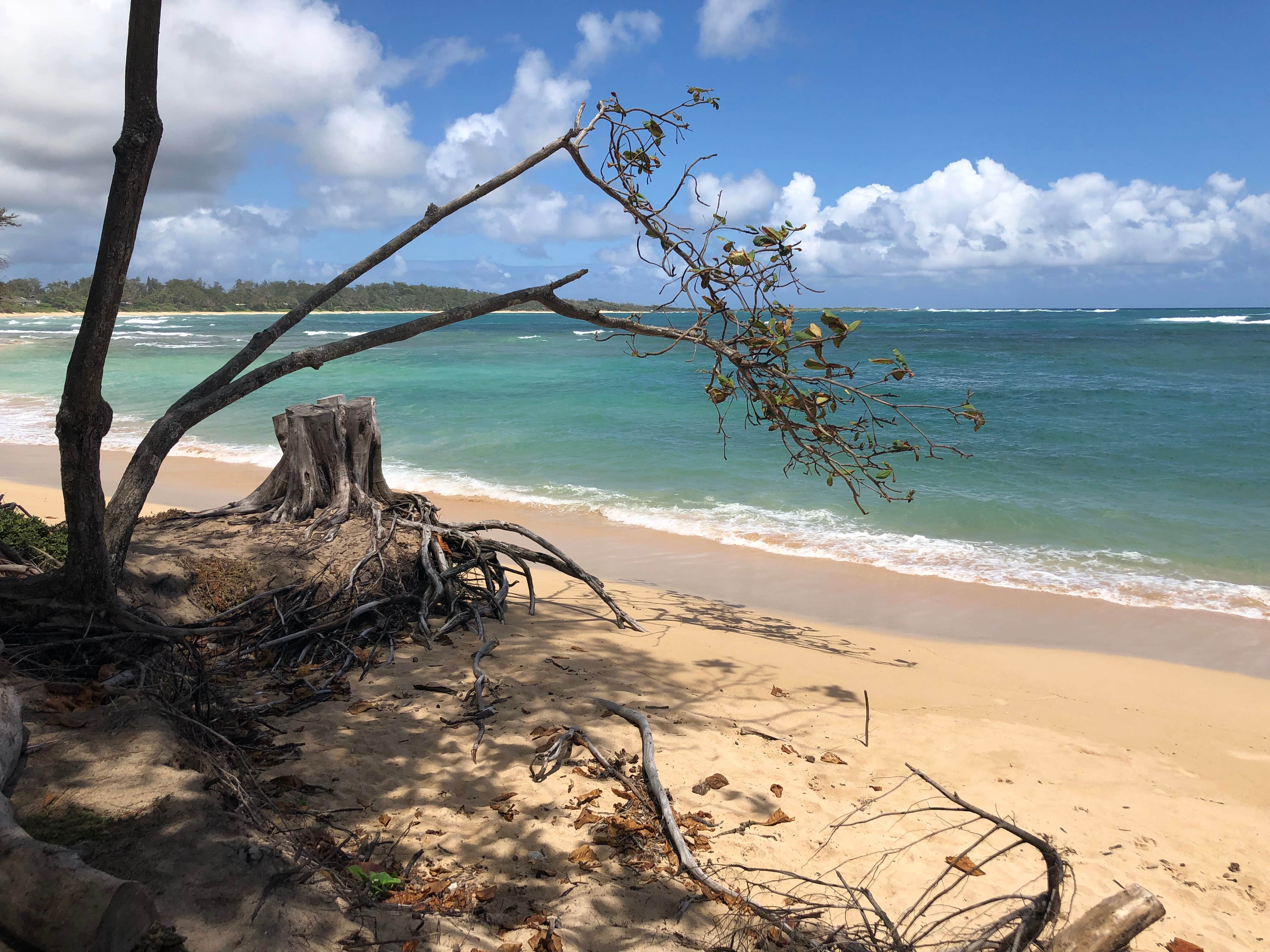 Camper-submitted photo at Mālaekahana State Recreation Area in Hawaii