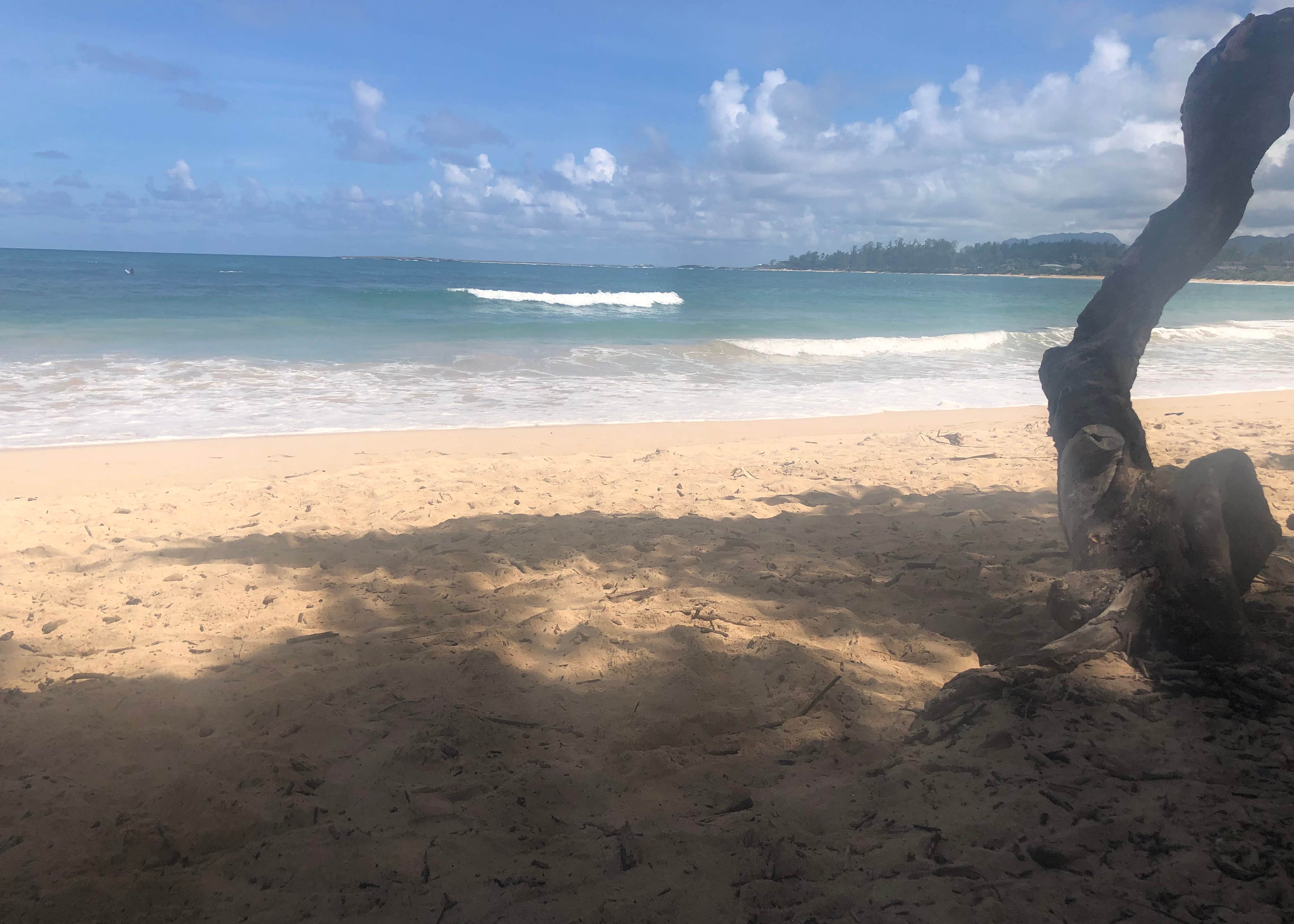 Malaekahana State Recreation Area - Oahu Camping | The Dyrt