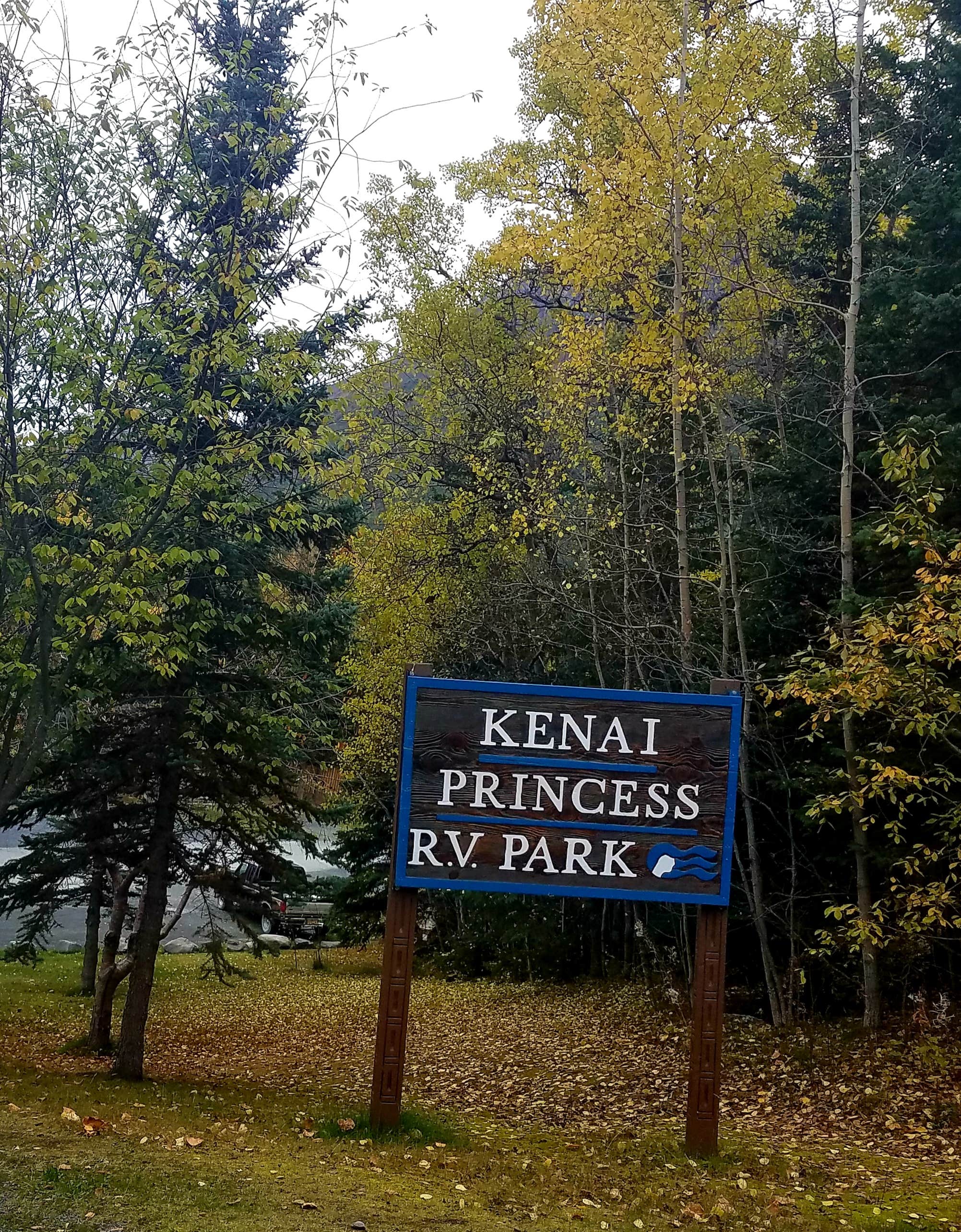 Camper submitted image from Kenai Princess Wilderness Lodge & RV Park - 3