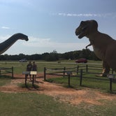 Review photo of Dinosaur Valley State Park — Dinosaur Valley State Park by Crystal C., October 6, 2019