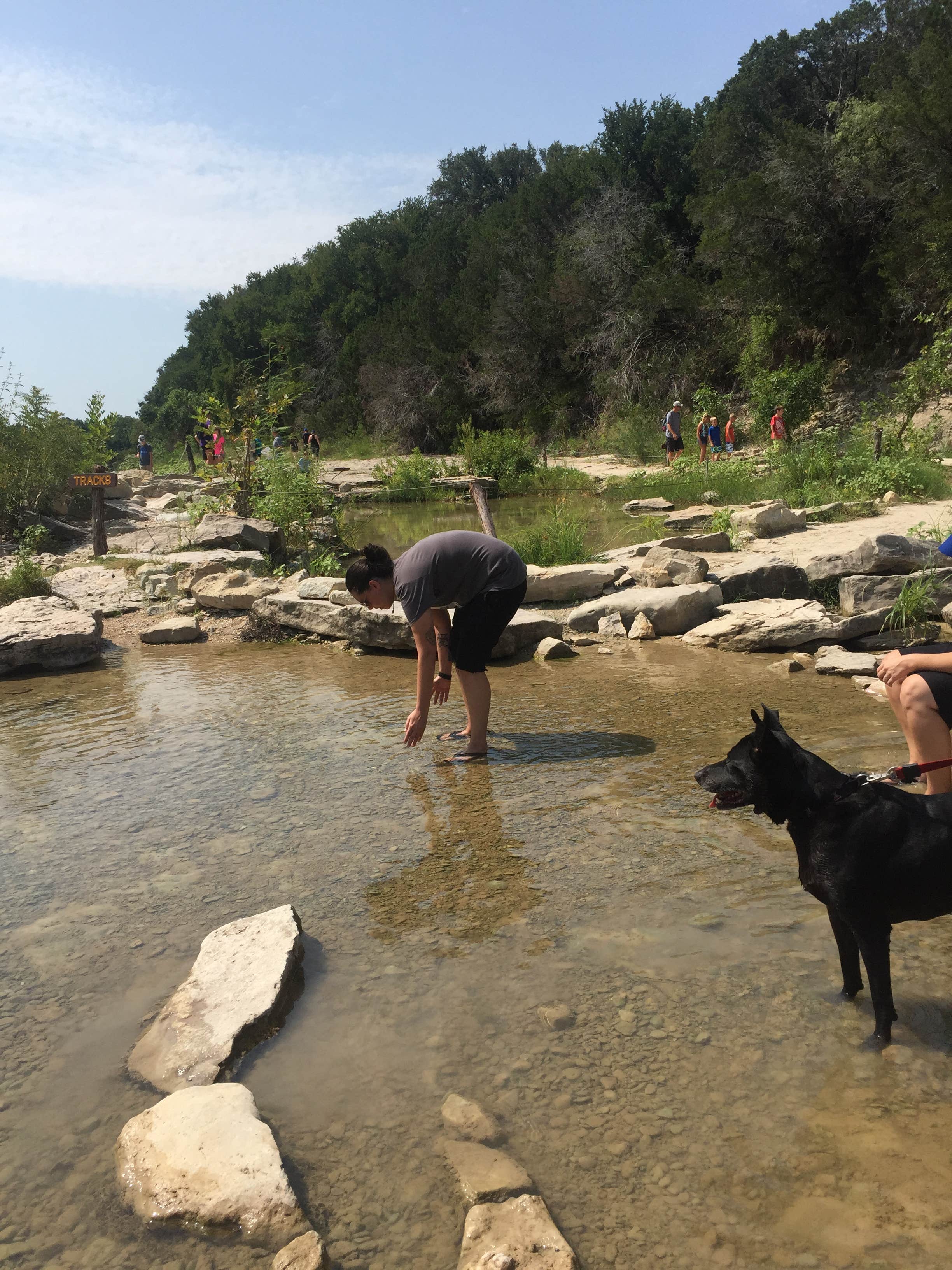 Crystal C.'s photo of camping with pets at Dinosaur Valley State Park Campground near Weatherford, TX