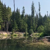 Review photo of Lionhead Campground — Priest Lake State Park by Crystal C., October 6, 2019