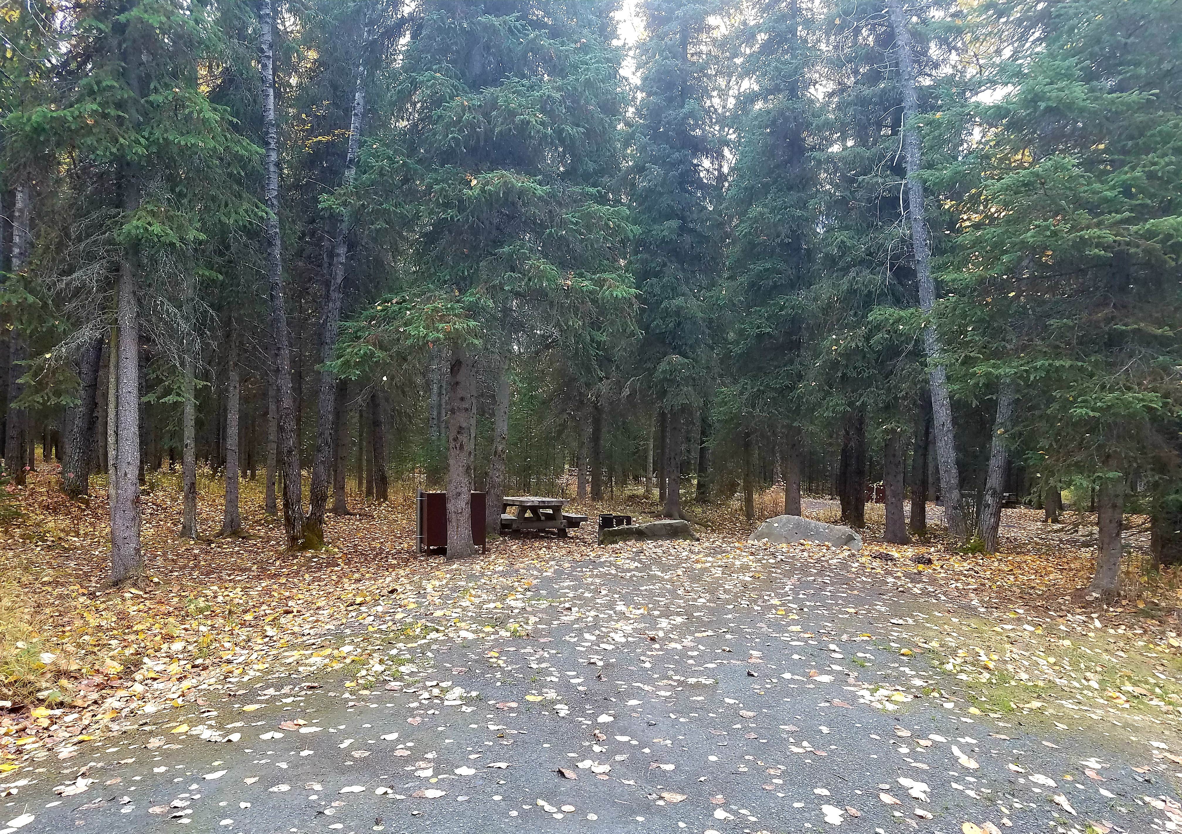 Camper-submitted photo at Crescent Creek near Anchorage, AK