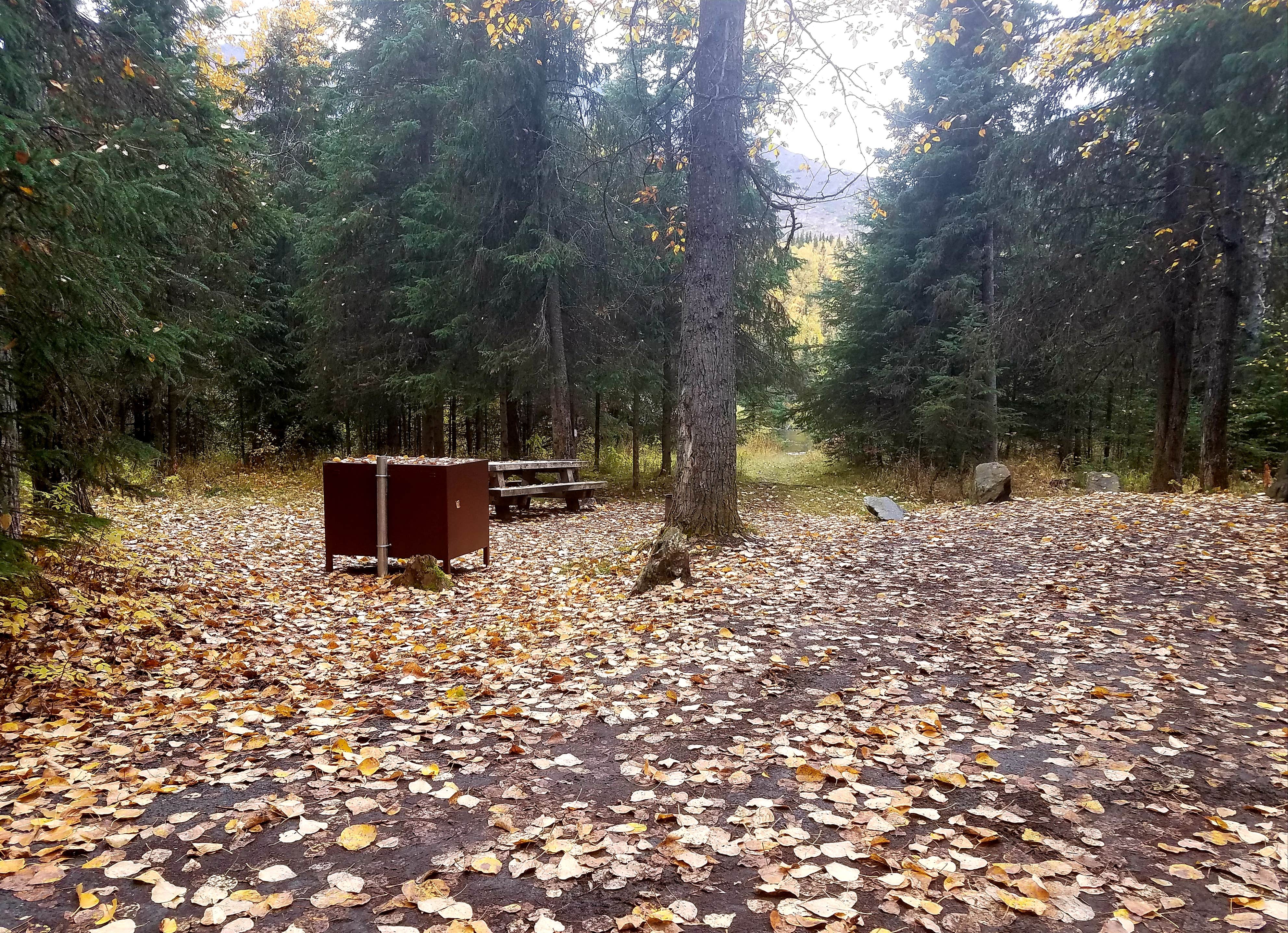 Tenderfoot 2024 creek campground