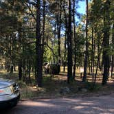 Review photo of Aspen Campground by Melissa S., October 6, 2019