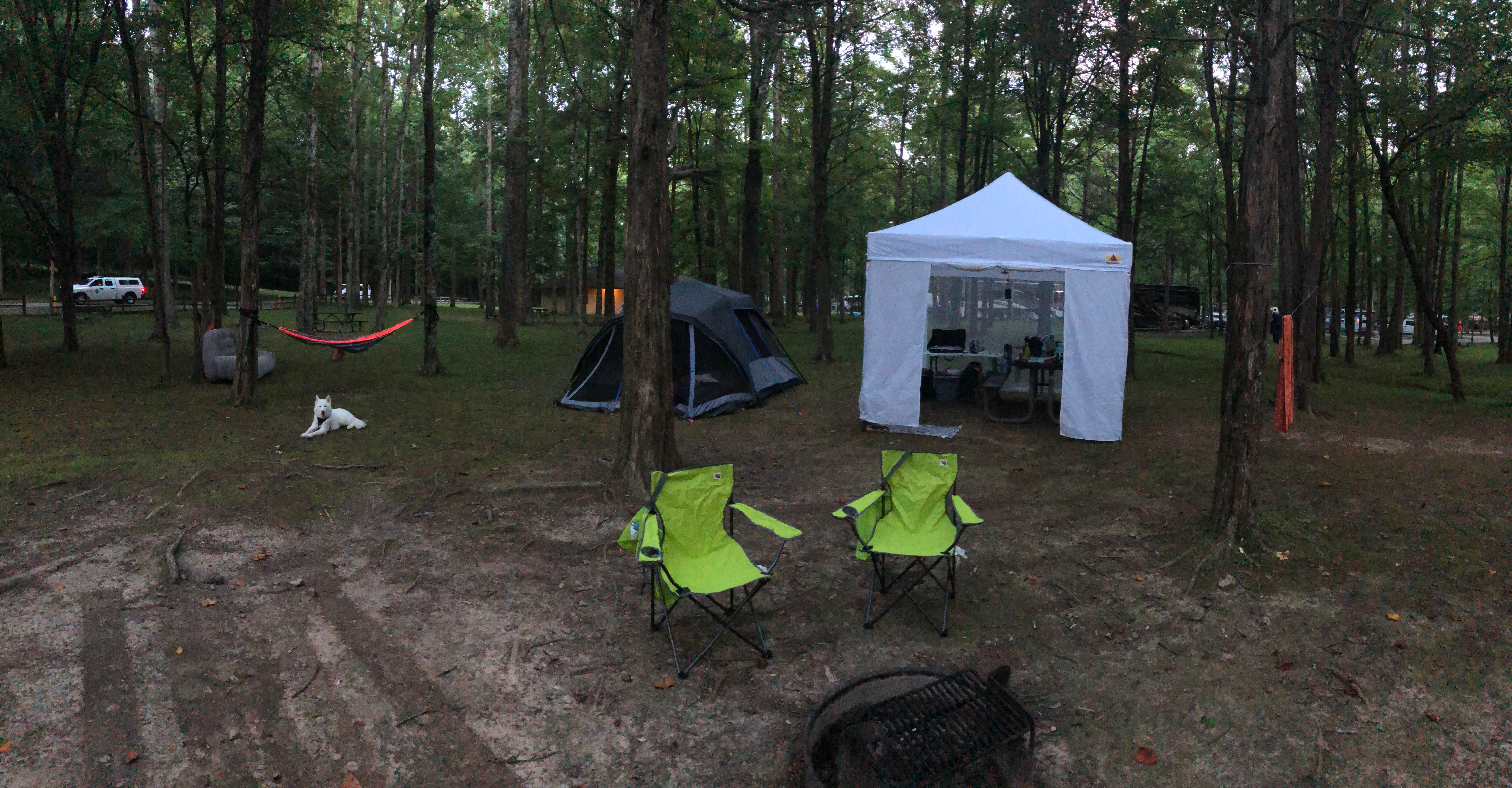 Stæven F.'s photo of camping with pets at Montgomery Bell State Park Campground near Duck River, TN