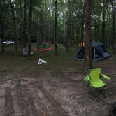 Review photo of Montgomery Bell State Park Campground by Stæven F., October 6, 2019