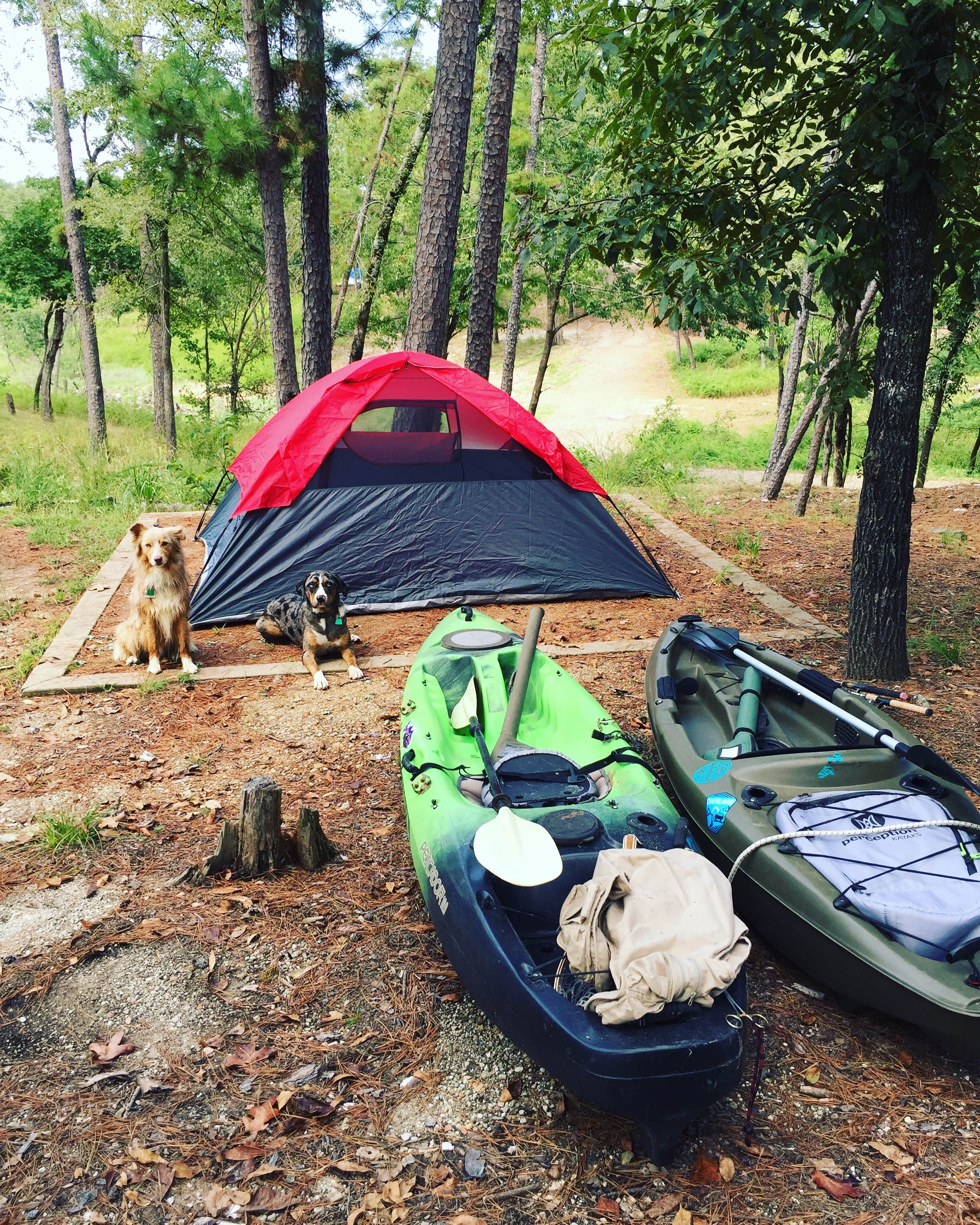 Amber L.'s photo at Beavers Bend State Park Campground near De Queen, AR