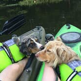 Review photo of Beavers Bend State Park Campground by Amber L., October 6, 2019