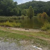 Review photo of Fenton Lake Access - DFWR by Staci R., August 15, 2017