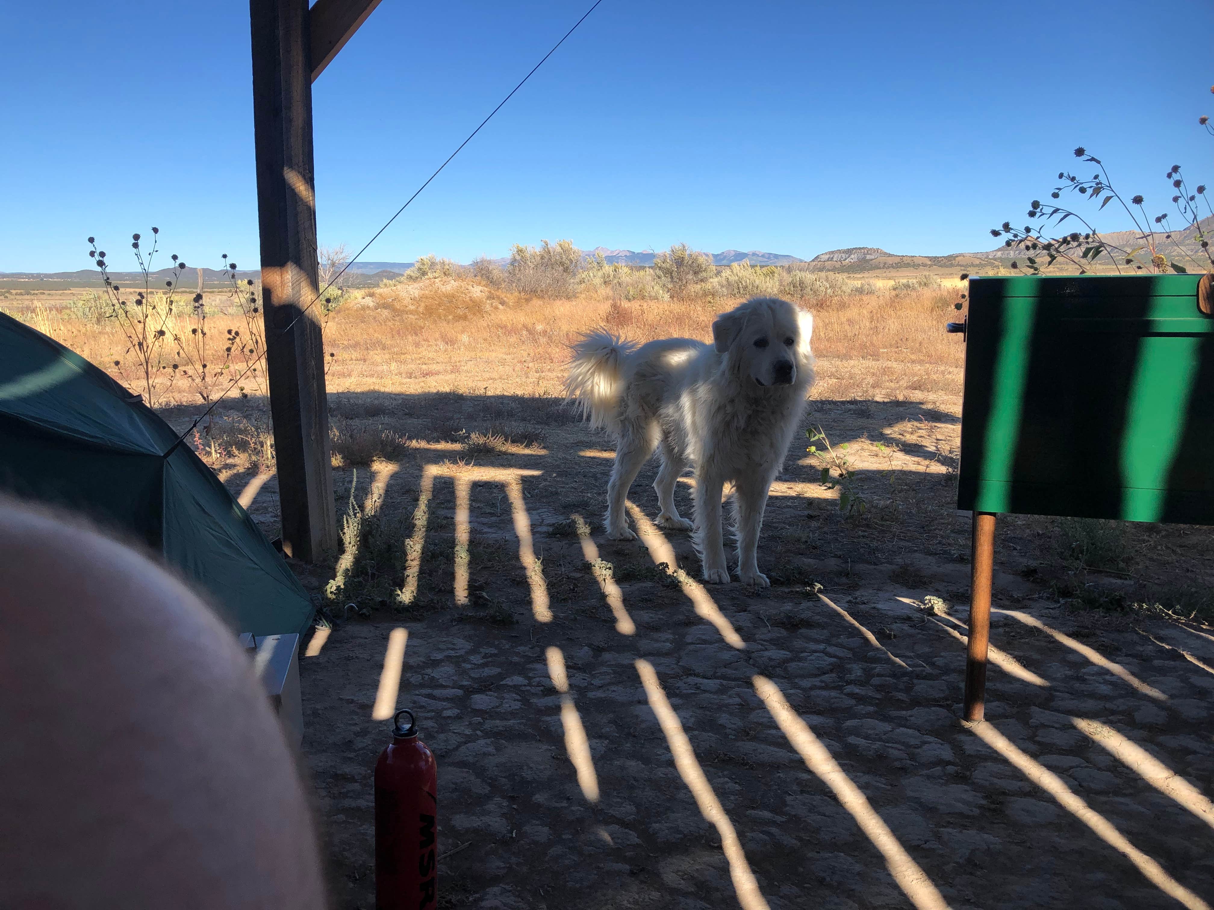 Andrew J.'s photo of camping with pets at Bright Star Campground near Cortez, CO