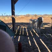 Review photo of Bright Star Campground by Andrew J., October 6, 2019