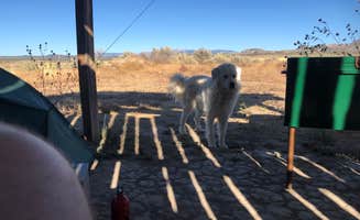 Andrew J.'s photo of camping with pets at Bright Star Campground near Cortez, CO