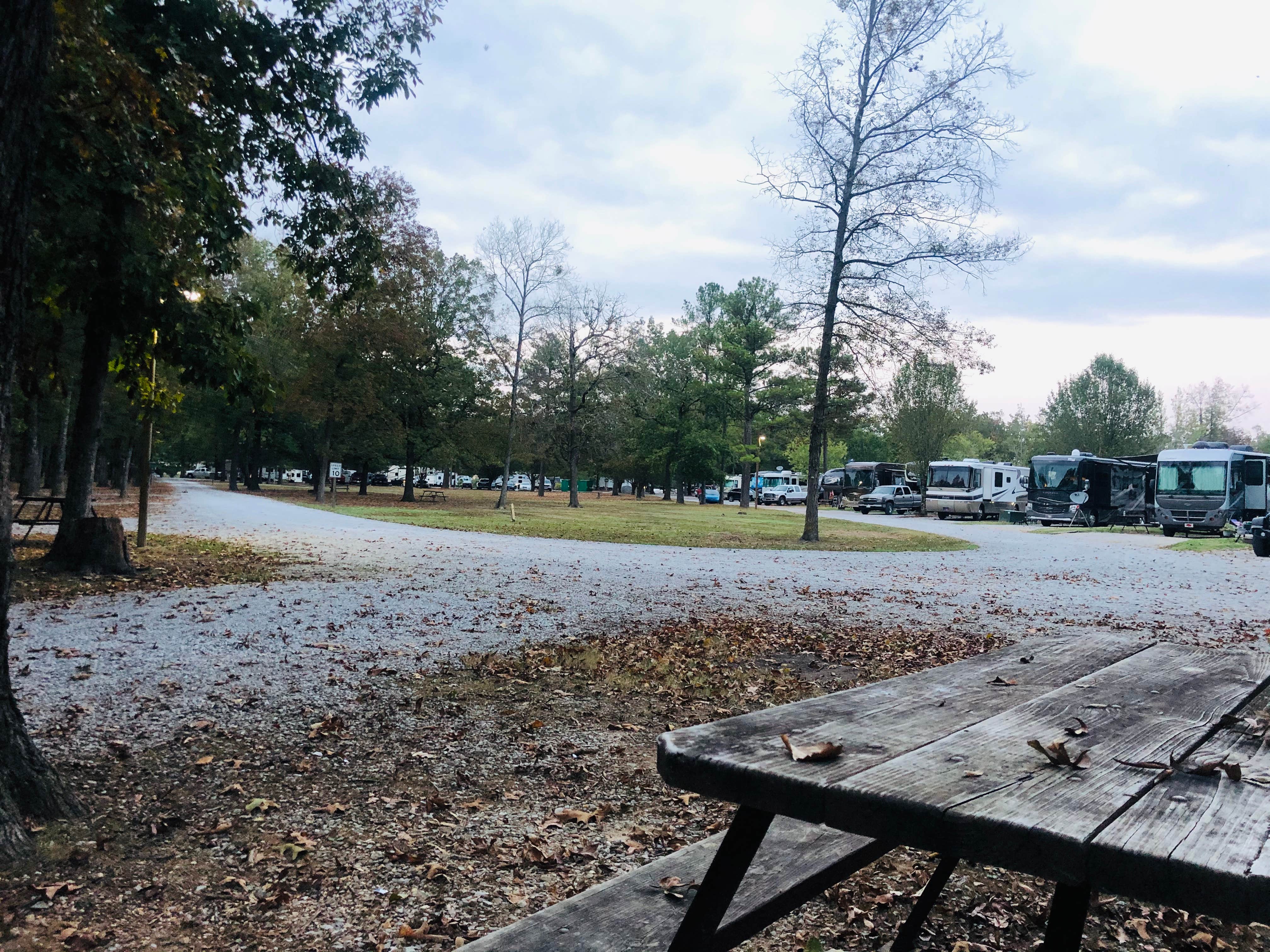 Camper-submitted photo at Holiday Travel Park near Ringgold, GA