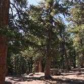 Review photo of Fourmile Campground by Melissa G., October 4, 2019