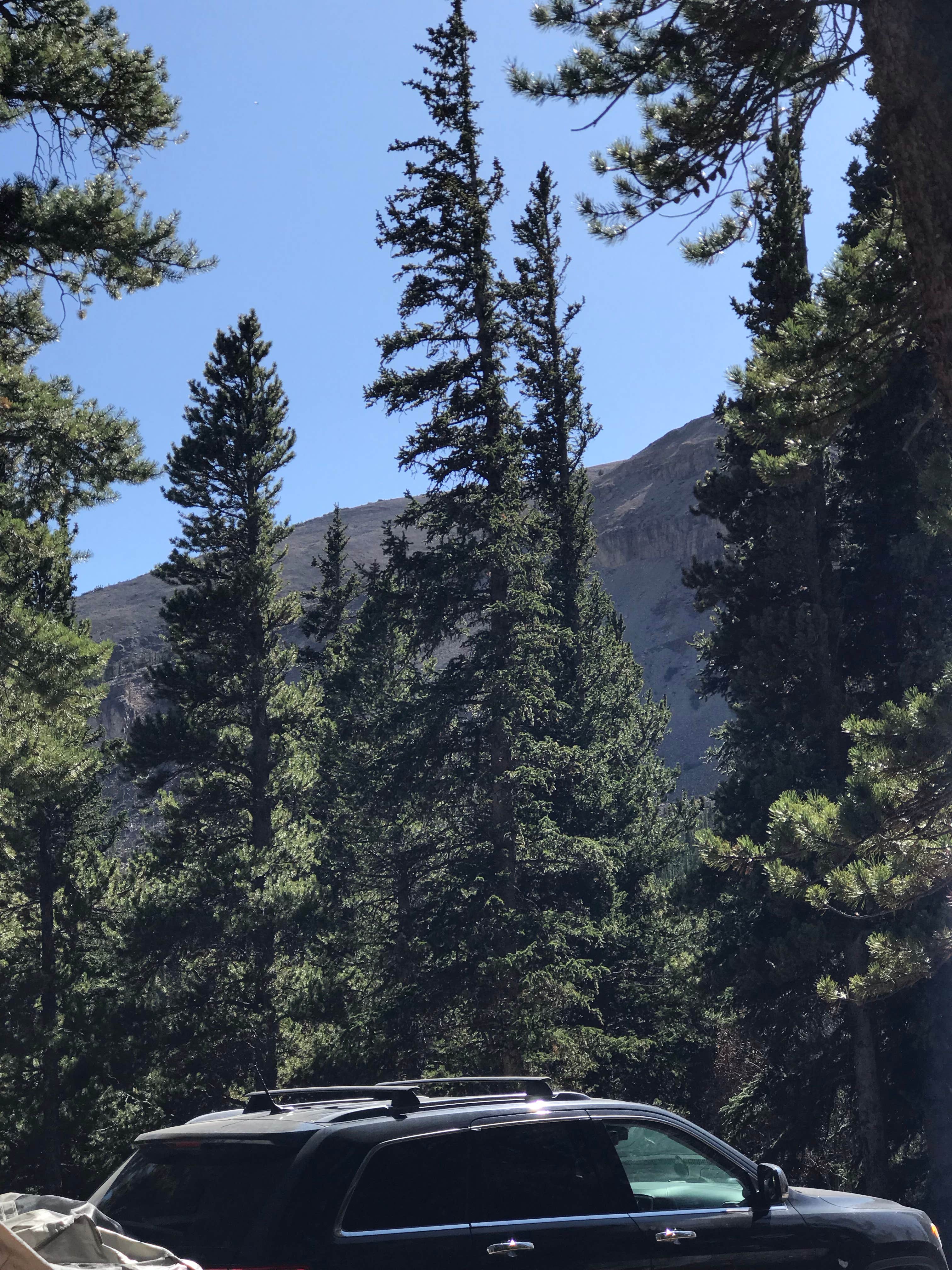 Camper-submitted photo at Fourmile Campground near Fairplay, CO