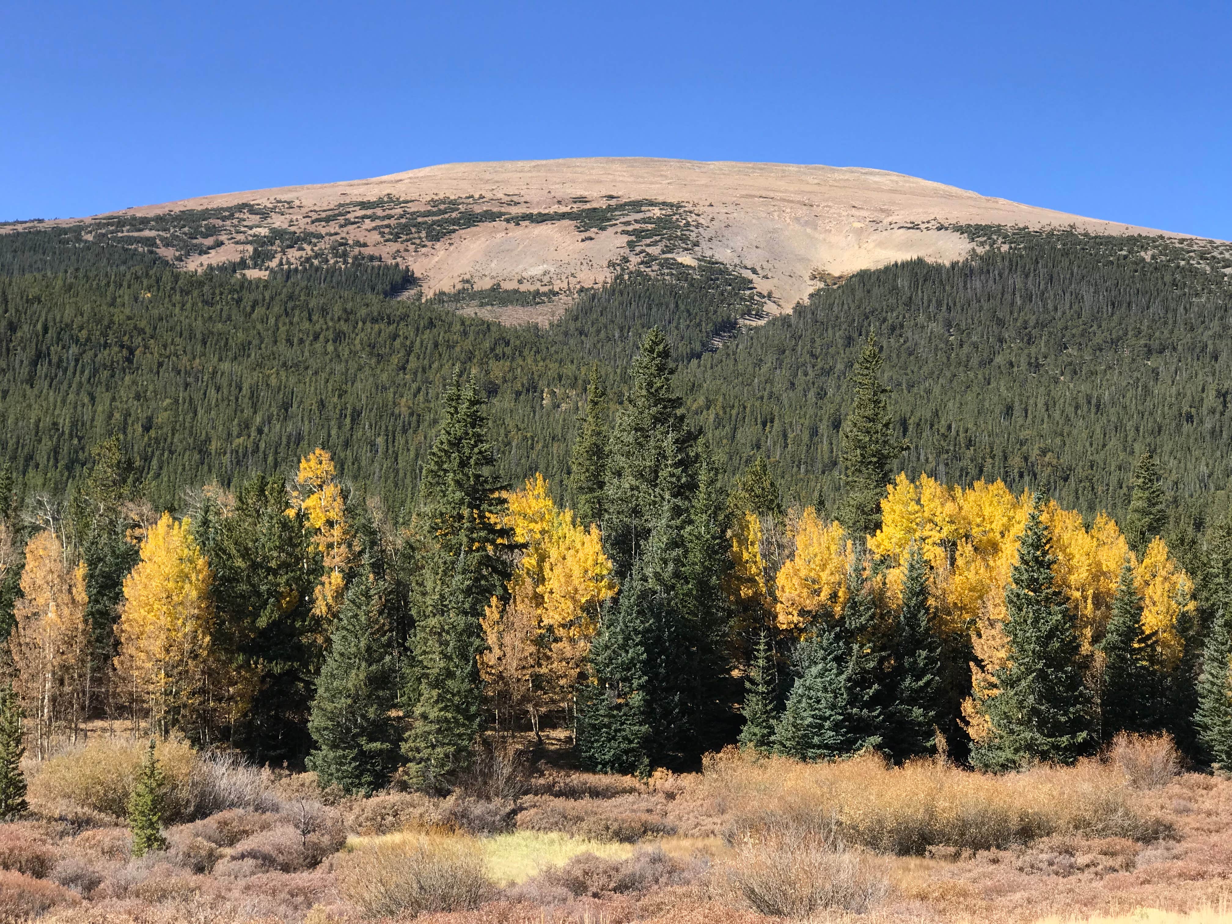 Camper-submitted photo at Fourmile Campground near Fairplay, CO