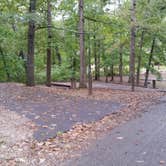 Review photo of Devil's Den State Park Campground by Dexter I., October 7, 2019